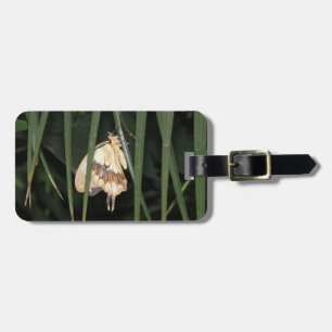 Etiqueta de Bagagem Personalizada de Luz Gorda