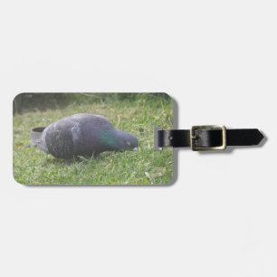 Etiqueta de Bagagem Personalizada de Pombo de Dorm