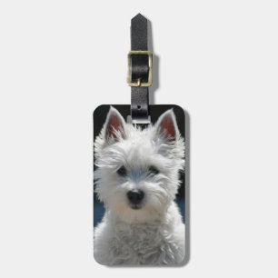 Etiqueta De Bagagem Personalizar Modelo de Foto Personalizado Único