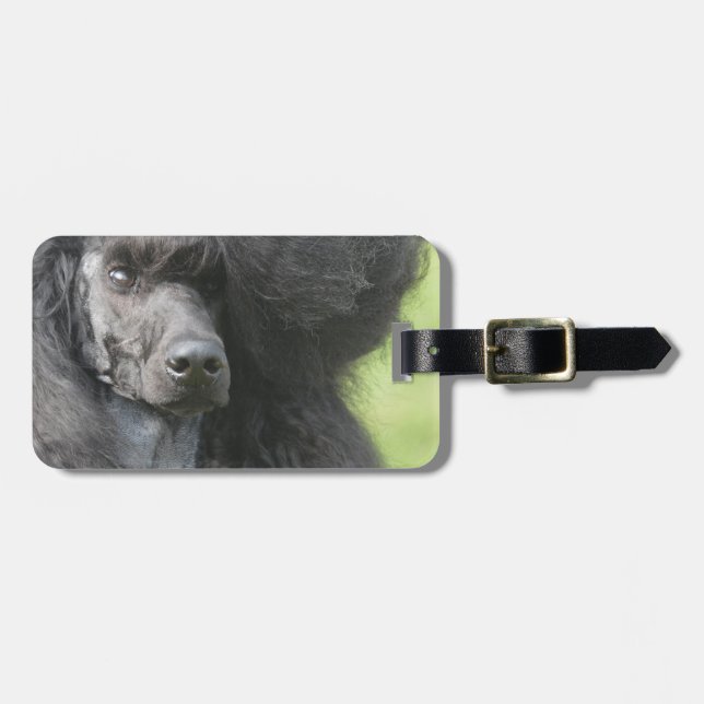 Etiqueta De Bagagem Personalize o produto (Frente Horizontal)