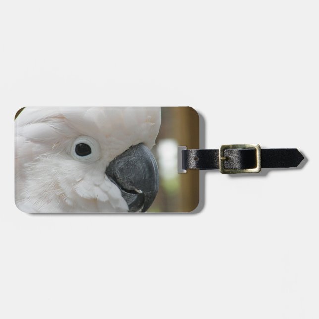 Etiqueta De Bagagem Personalize o produto (Frente Horizontal)