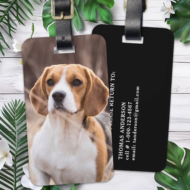 Etiqueta De Bagagem Pet Personalizado de Cachorro de Fotografia (Criador carregado)