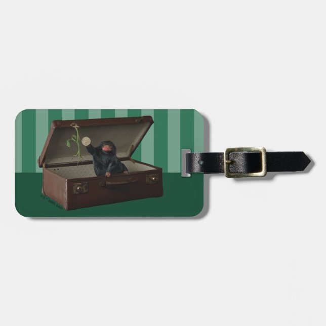 Etiqueta De Bagagem Pickett & Teddy in Briefcase (Frente Horizontal)