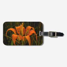 Etiqueta de Bagagem "Pine Lily"
