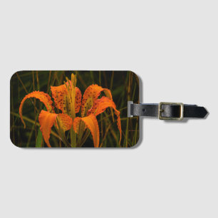 Etiqueta de Bagagem "Pine Lily"