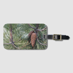 Etiqueta De Bagagem Pinecone no pinheiro