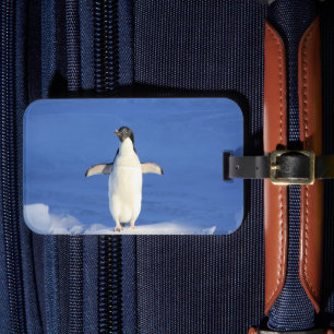 Etiqueta De Bagagem Pinguim engraçado na foto do gelo