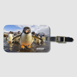 Etiqueta De Bagagem Pinguins Legal de Nome Personalizado