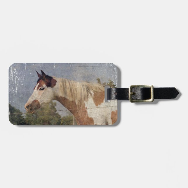 Etiqueta De Bagagem Pinto Horse Grunge (Frente Horizontal)