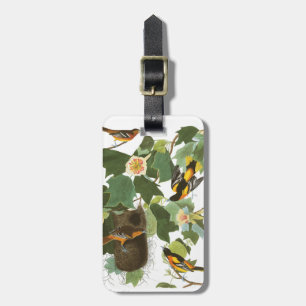 Etiqueta De Bagagem Placa 12 Baltimore Oriole de Audubon