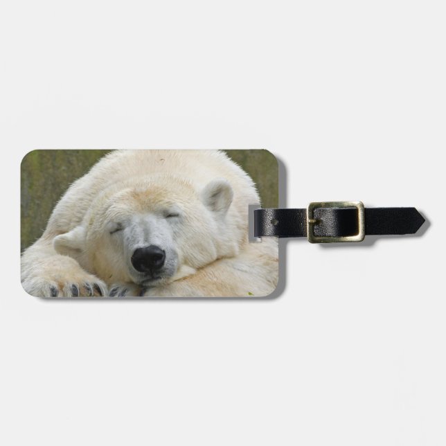 Etiqueta De Bagagem PolarBear20150501 (Frente Horizontal)