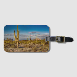 Etiqueta De Bagagem Por do sol do cacto na arizona