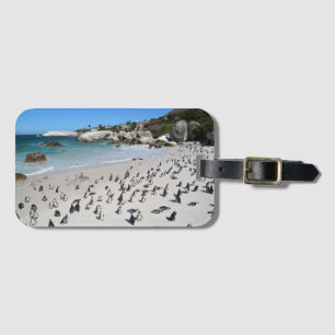 Etiqueta De Bagagem Praia   África do Sul dos pedregulhos dos pinguin