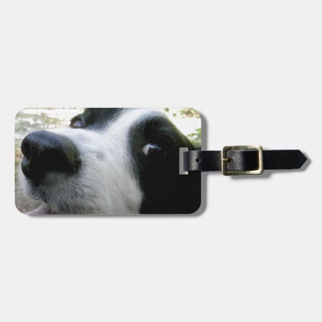 Etiqueta De Bagagem Presentes de border collie (Frente Horizontal)