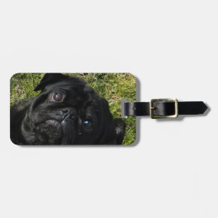 Etiqueta De Bagagem preto do pug