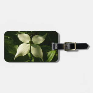 Etiqueta De Bagagem Primavera branco da flor Sunlit do Dogwood floral