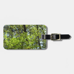 Etiqueta De Bagagem Primavera Maple Deixa a natureza
