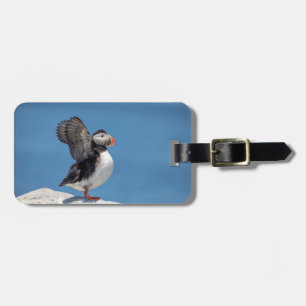 Etiqueta De Bagagem Puffin Atlântico em Machias, ME
