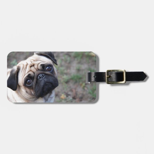 ETIQUETA DE BAGAGEM PUG (Frente Horizontal)