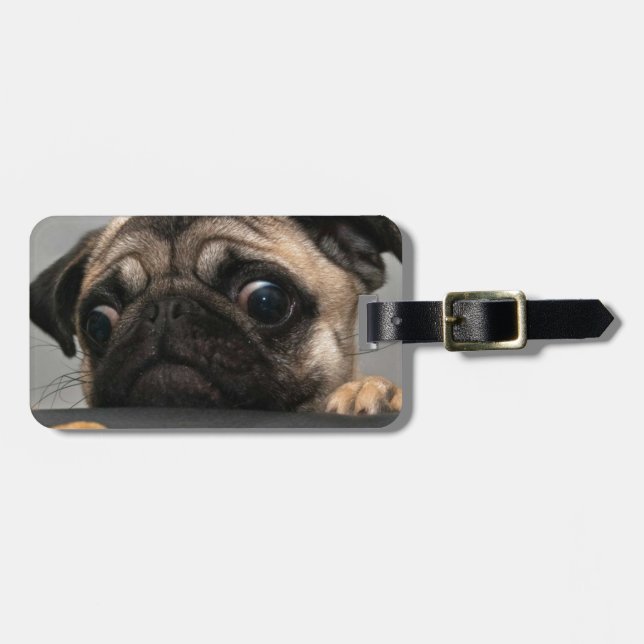 Etiqueta De Bagagem Pug (Frente Horizontal)