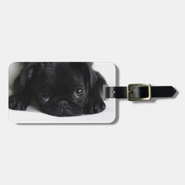 Etiqueta De Bagagem Pug Negro (Frente Horizontal)