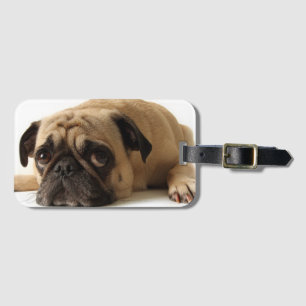 Etiqueta De Bagagem Pug Triste