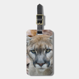 Etiqueta De Bagagem Puma, leão de montanha, pantera de Florida, puma