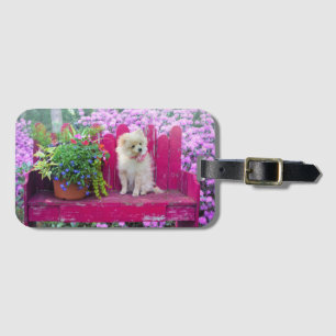 Etiqueta De Bagagem Puppy da Pomerânia no sanduíche Rosa de Fuchsia