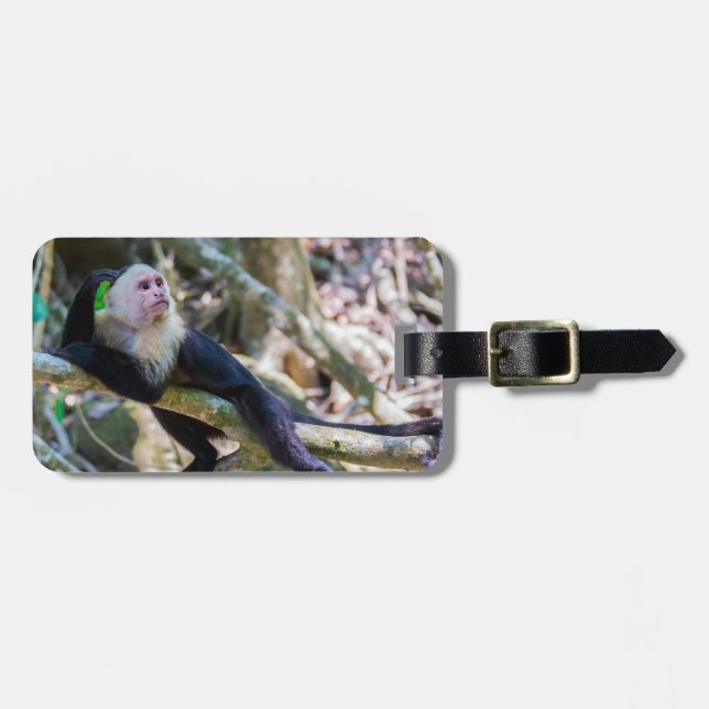 Etiqueta De Bagagem Pura vida para macaco-prego branco (Frente Horizontal)