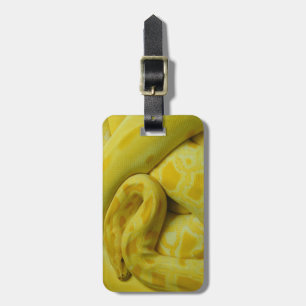 Etiqueta De Bagagem Python Amarelo birmanês