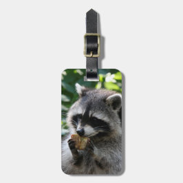 Etiqueta De Bagagem Raccoon_2015_0116