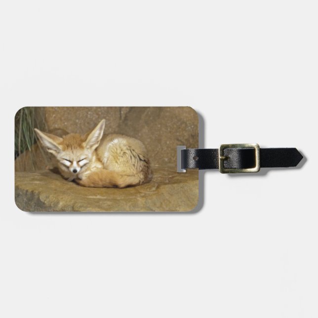 Etiqueta De Bagagem raposa do fennec (Frente Horizontal)