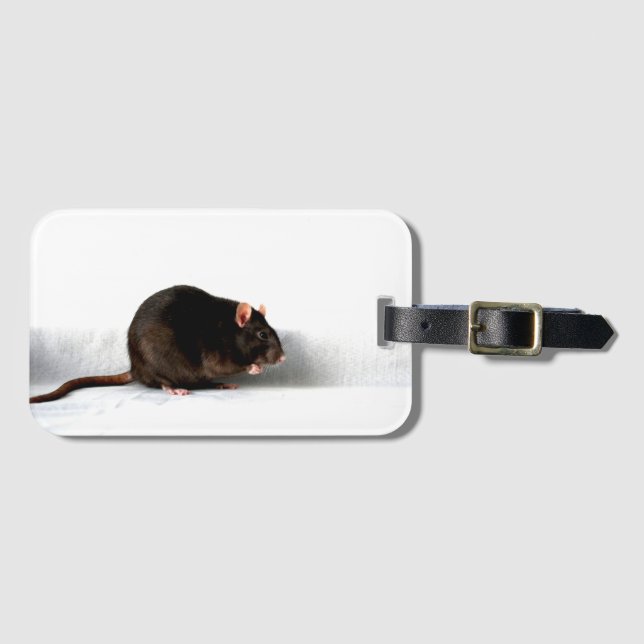 Etiqueta De Bagagem Rat bc ltcna (Frente Horizontal)