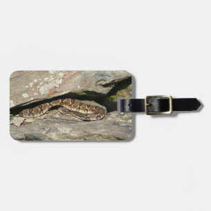 Etiqueta De Bagagem Rattlesnake no Parque Nacional de Shenandoah