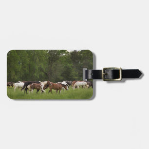 Etiqueta De Bagagem Rebanho de cavalos, Tennessee