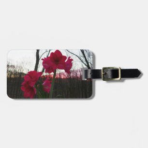 Etiqueta De Bagagem Red Amaryllis e Winter Sunrise