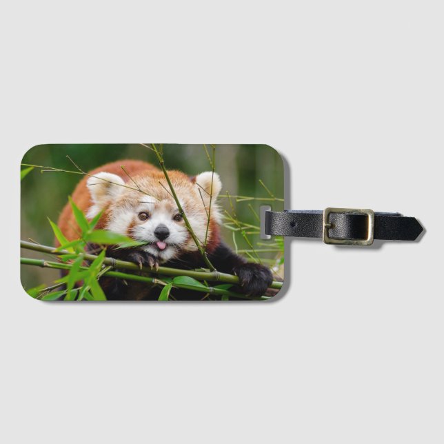 Etiqueta De Bagagem Red Panda (Frente Horizontal)