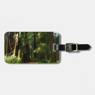 Etiqueta De Bagagem Redwoods e Samambaias no Parque Nacional Redwood