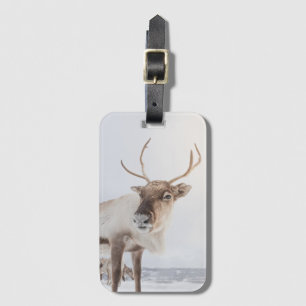 Etiqueta De Bagagem Reindeer Nature Photo