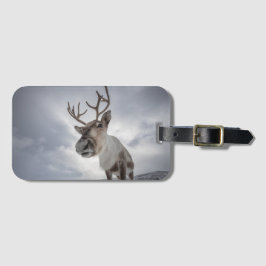 Etiqueta De Bagagem Reindeer Nature Photo