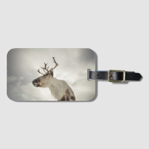 Etiqueta De Bagagem Reindeer Nature Photo