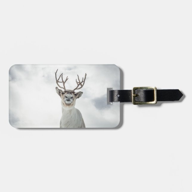 Etiqueta De Bagagem Reindeer Nature Photo (Frente Horizontal)