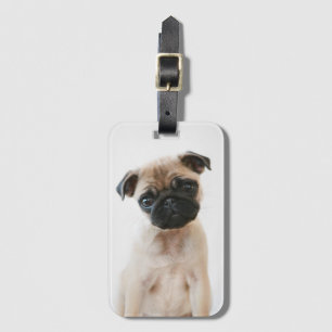Etiqueta De Bagagem Retrato de Baby Pug