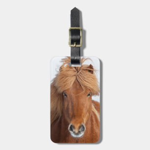 Etiqueta De Bagagem Retrato de Cavalo Islandês Marrom