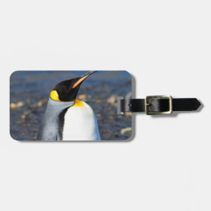 Etiqueta De Bagagem Retrato de pinguim