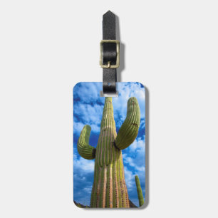 Etiqueta De Bagagem Retrato de Saguaro cactus, Arizona