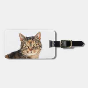 Etiqueta De Bagagem Retrato de um gato