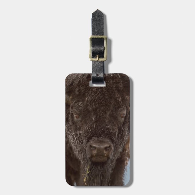Etiqueta De Bagagem Retrato De Um Touro Bison Na Chuva (Frente Vertical)