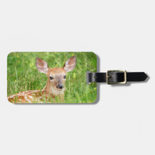 Etiqueta De Bagagem Retrato de uma Fawn (veado branco)
