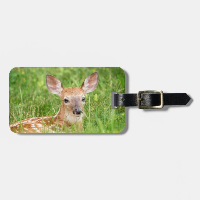 Etiqueta De Bagagem Retrato de uma Fawn (veado branco) (Frente Horizontal)